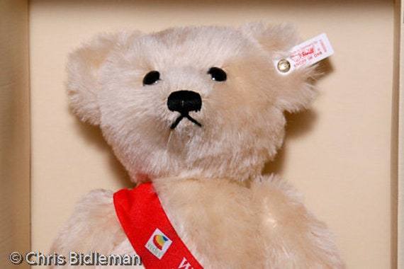 steiff bear with growler
