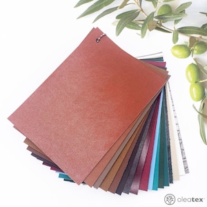Vegan Leathers Colourful Sample Collection from Olive Pomace 100% Vegan Plant Based Awarded Next-Gen Sustainable Faux Leathers For Crafts