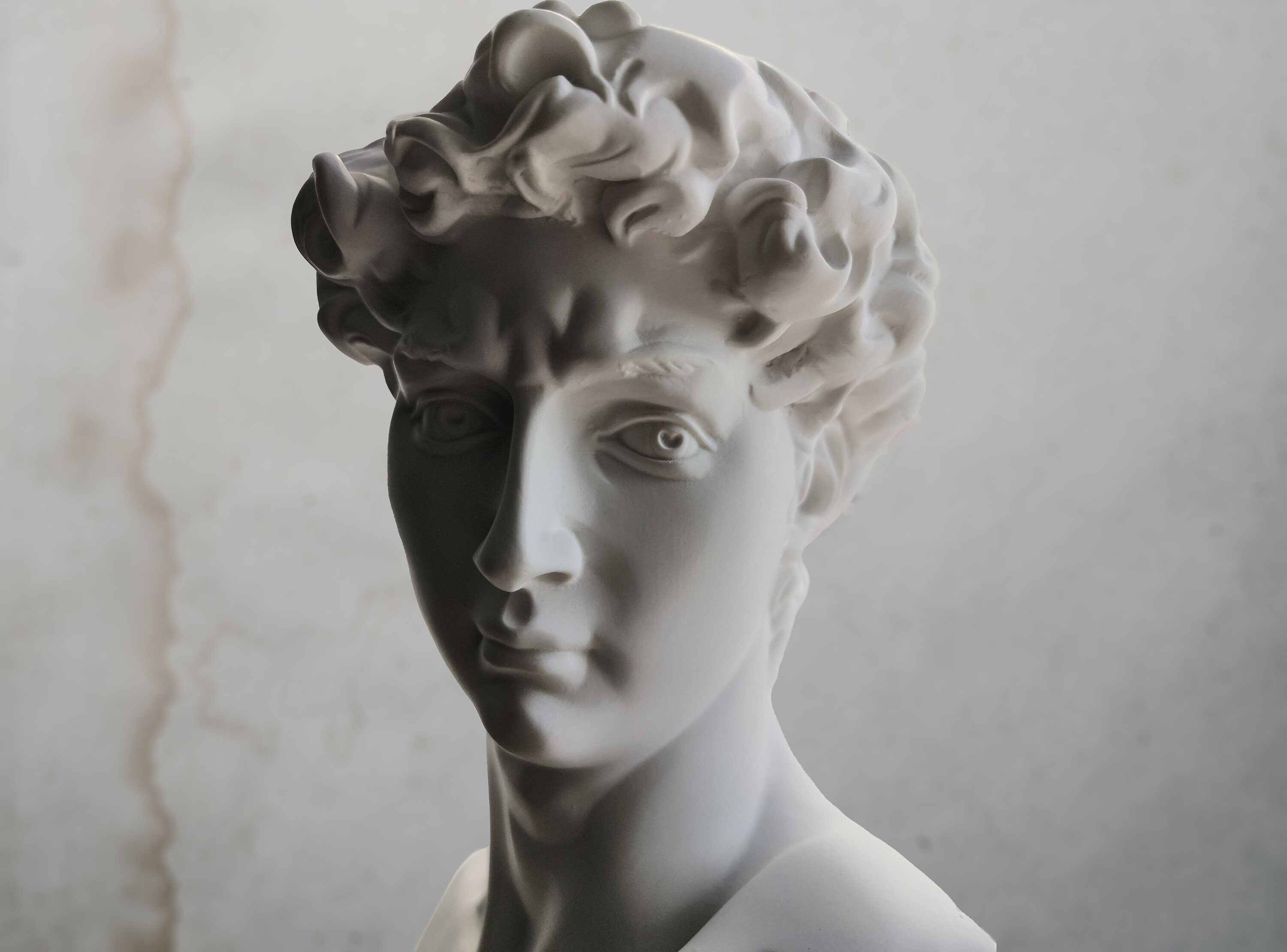 David Head David Bust Statue Michelangelo David Head Etsy