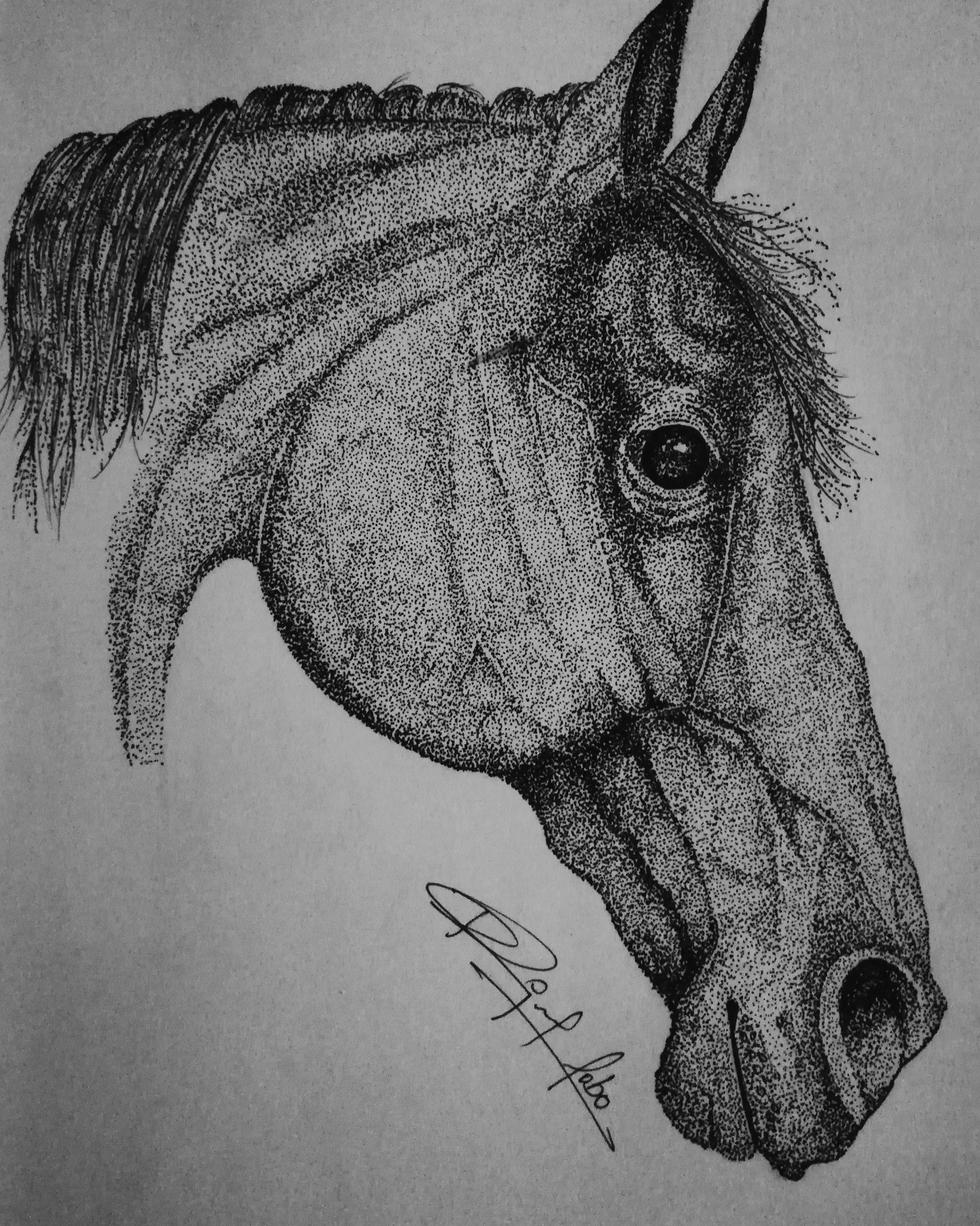 Pen and Ink Drawing Stippling Art Horse Etsy