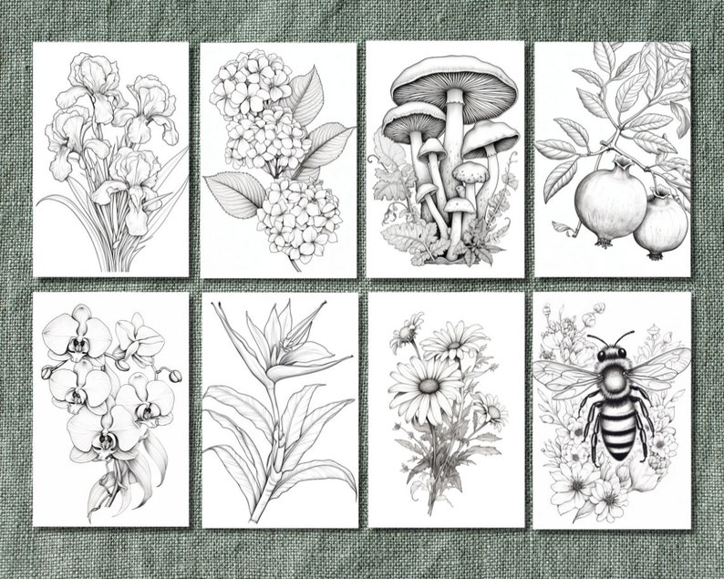 25 Floral Botanical Coloring Book Pages Instant PDF Download Etsy