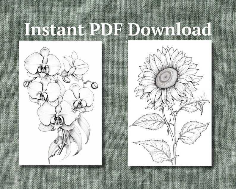 25 Floral Botanical Coloring Book Pages Instant PDF Download Etsy