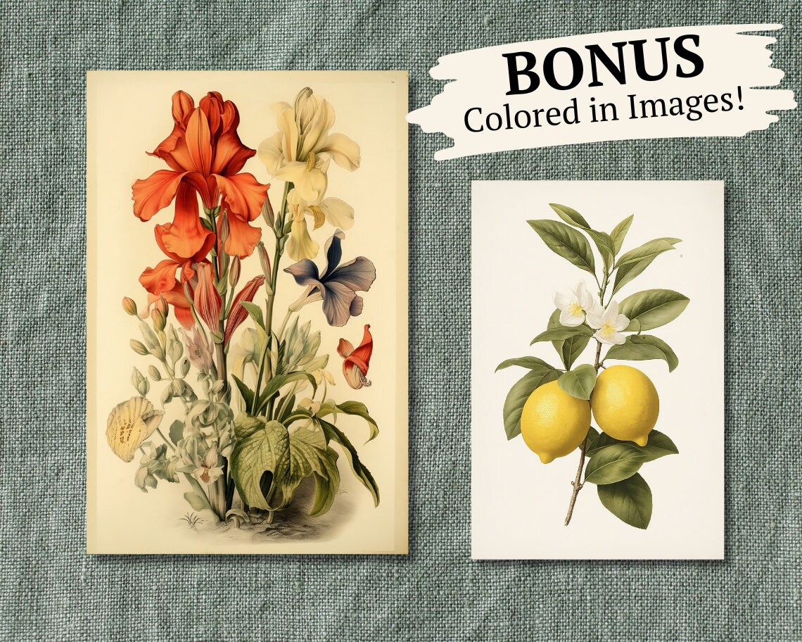 25 Floral Botanical Coloring Book Pages, Instant PDF Download - for ...