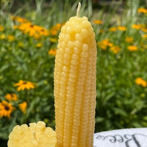 Corn Cob Beeswax Candle: USA Pure Beeswax, Unscented