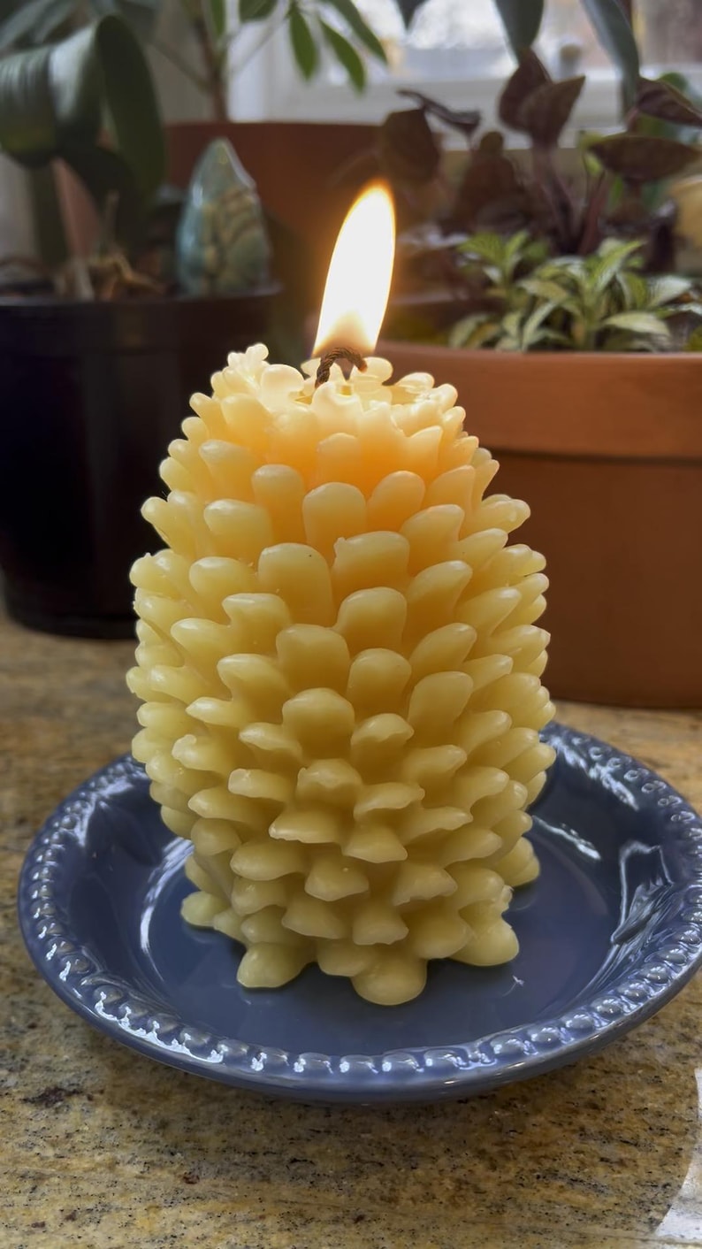 Beeswax Candle Pine Cone Design Pure USA Beeswax Made by Beekeepers - Etsy