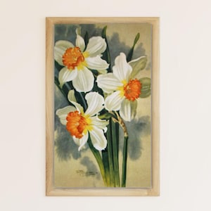 Regalo per insegnanti fatto a mano, cartolina sovietica vintage del 1964, narciso bianco, fiori di campo primaverili, stampa digitale, dipinto botanico per un arredamento confortevole per la casa