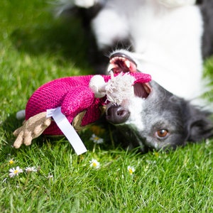 Hundespielzeug personalisiert mit Namen Bild 9