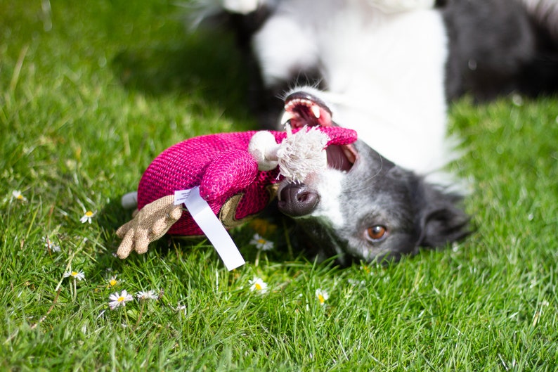 Hundespielzeug personalisiert mit Namen Bild 9