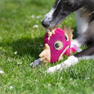 Hundespielzeug personalisiert mit Namen Bild 10