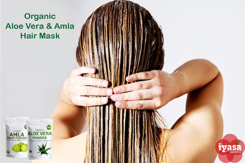 May include: A woman with wet hair applies a hair mask. Two packages of hair mask powder are visible in the foreground. The packages are labeled "Organic Amla Fruit Powder" and "Organic Aloe Vera Powder".