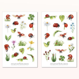 Set di adesivi coccinella - adesivi per diario, adesivi per pianificatore, natura, erba, prato, campo, primavera, estate, piante, insetti, felicità