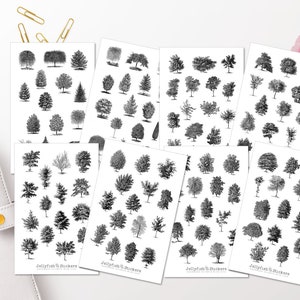 Vintage Bomen Stickerset - Stickers, Journal Stickers, Planner Stickers, Natuur, Bomen, Bos, Zwart-wit, Tuin, Boom, Stickervel