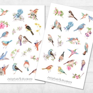 Vogels lente sticker set - dagboekstickers, plannerstickers, natuur, tuin, stickervel, accessoires, vogel, bloemen, planten