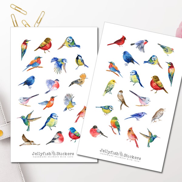 Vogels sticker set - dagboekstickers, plannerstickers, natuur, kleurrijke stickers, tuin, geheugenplanner, vogelstickerbladaccessoires