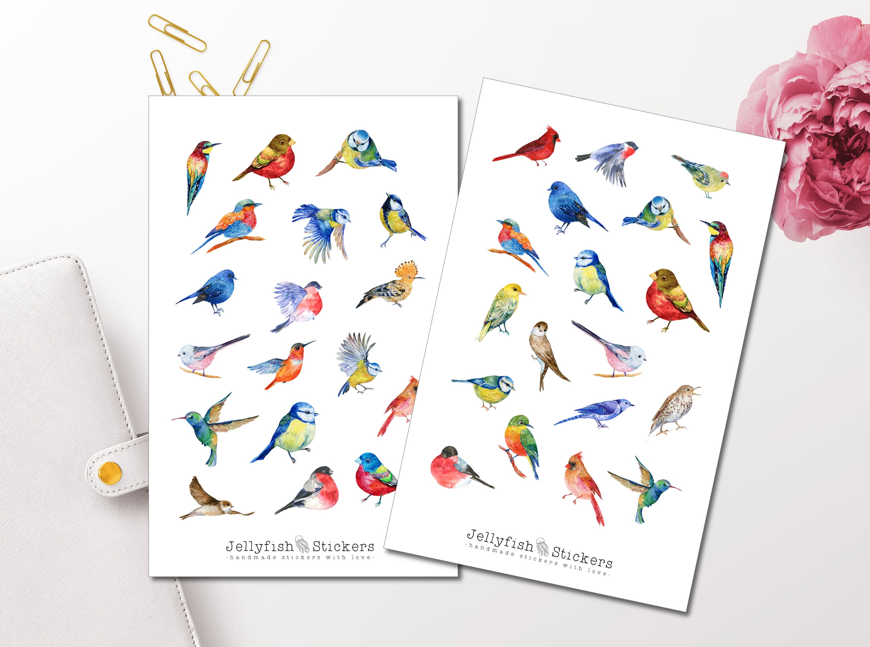 Birds Feathers Clipart Digital Collage Sheet Jpeg-instant Download Bird  Feathers Clipart Digital Scrapbook Paper Bird Feather Card Making 