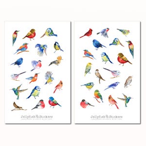 Ensemble d'autocollants oiseaux - Autocollants pour journal, autocollants pour planificateur, nature, autocollants colorés, jardin, planificateur de souvenirs, accessoires pour feuilles d'autocollants oiseaux