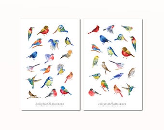 Bird Sticker Set - Journal Stickers, Planner Stickers, Nature, Colorful Stickers, Garden, Memory Planner, Bird Sticker Sheet Accessories