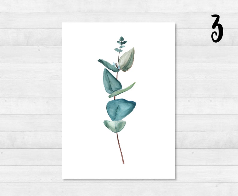 Eucalyptus ansichtkaartenset DIN A6 kaart, cadeau, foto, tuin, bloemen, print, wenskaart, schrijven, post, groen, tuin 3