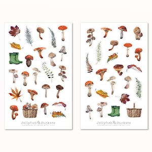 Conjunto de adesivos de cogumelos - adesivos, adesivos de planejamento, adesivos de jardim, outono, cozinha, culinária, natureza, floresta, plantas, colheita de cogumelos