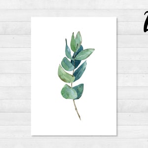 Eukalyptus Postkarten Set DIN A6 Karte, Geschenk, Bild, Garten, Floral, Print, Grußkarte, Schreiben, Post, Grün, Garten 2