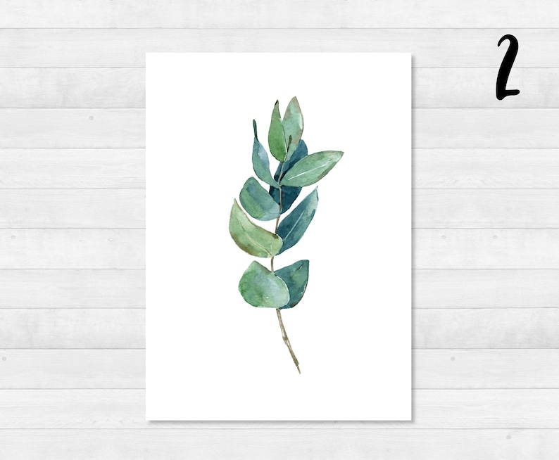 Eukalyptus Postkarten Set DIN A6 Karte, Geschenk, Bild, Garten, Floral, Print, Grußkarte, Schreiben, Post, Grün, Garten 2