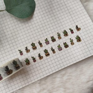 Kaktus verpackung - Etsy.de