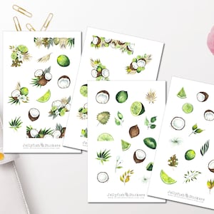 Set di adesivi lime e cocco - Adesivo per diario, adesivo, pianificatore, adesivo, estate, frutta, frutta, cocco, lime, agrumi