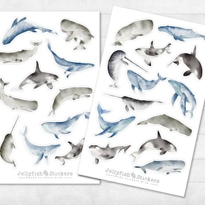 Walvissen Sticker Set - Leuke stickers, dagboekstickers, plannerstickers, stickers walvis, zee, onderwater, oceaan, dieren, vis, strand