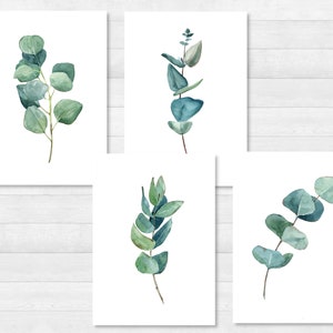 Eucalyptus postcard set DIN A6 - card, gift, picture, garden, floral, print, greeting card, writing, post, green, garden