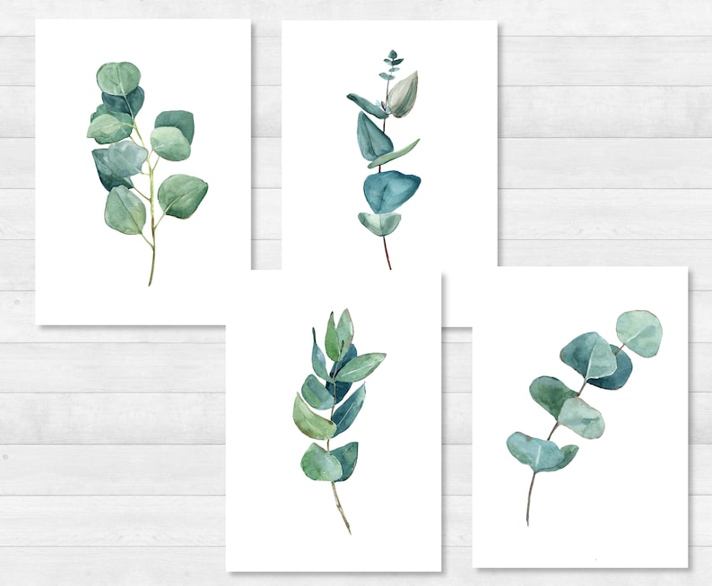 Eucalyptus ansichtkaartenset DIN A6 kaart, cadeau, foto, tuin, bloemen, print, wenskaart, schrijven, post, groen, tuin 1 - 4