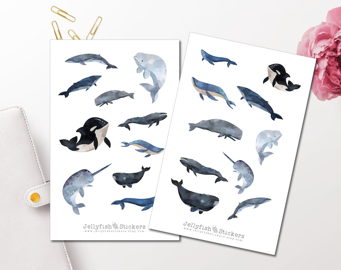 Orca Killer Whale Planner Stickers – 1,100pcs Adhesive Decals For Journals, Scrapbooks & Crafts