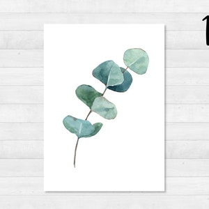 Eucalyptus ansichtkaartenset DIN A6 kaart, cadeau, foto, tuin, bloemen, print, wenskaart, schrijven, post, groen, tuin 1