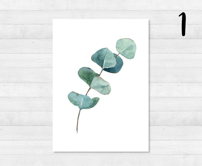 Eucalyptus ansichtkaartenset DIN A6 kaart, cadeau, foto, tuin, bloemen, print, wenskaart, schrijven, post, groen, tuin 1