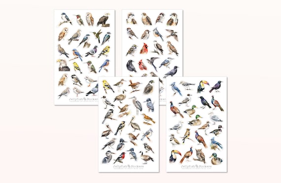 Vögel Sticker Set - Aufkleber, Journal Sticker, Sticker Natur, Garten, Vogel, Frühling, bunt, viele Sticker, Stickerbogen, Vogelarten