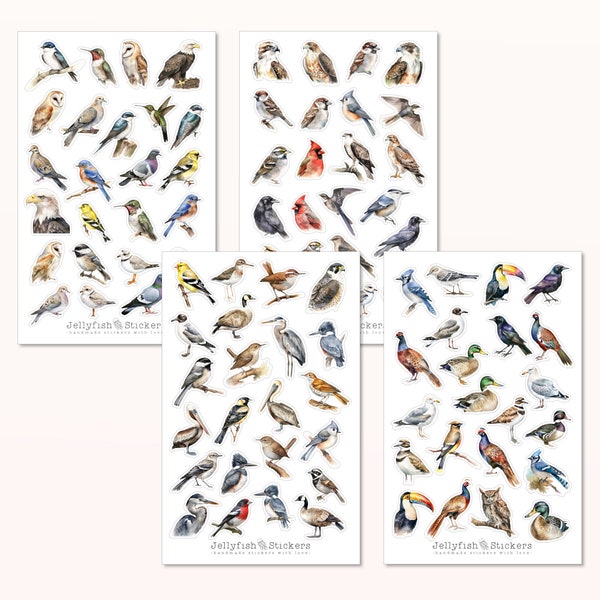 Vogelstickerset - stickers, dagboekstickers, stickers natuur, tuin, vogel, lente, kleurrijk, veel stickers, stickervel, vogelsoorten