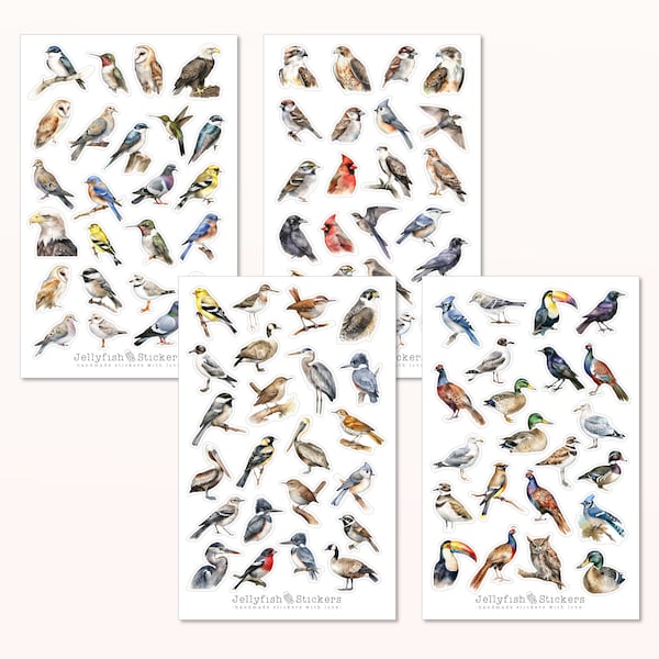 Birds Sticker Set - Stickers, Journal Stickers, Nature Stickers, Garden Stickers, Birds, Spring, Colorful, Many Stickers, Sticker Sheet, Bird Species