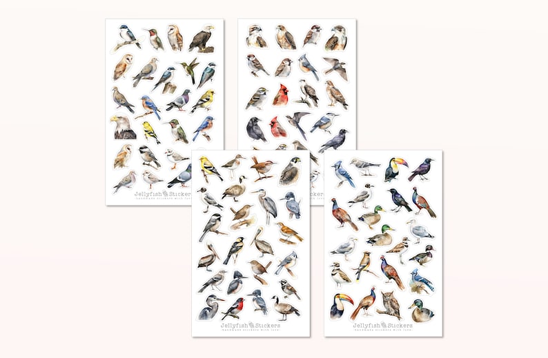 May include: Three sheets of colorful bird stickers. Each sheet features a variety of bird species, including robins, cardinals, owls, and hummingbirds. The stickers are perfect for adding a touch of nature to journals, planners, and other craft projects.  Jellyfish Stickers, Handmade with Love.