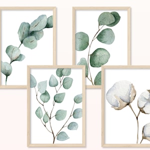 Eucalipto y algodón DIN A4 DIN A5 Impresión de arte - Impresión de arte, Póster, Regalo, Flores, Plantas, Verde, Sala de estar, Apartamento, Naturaleza, Hojas