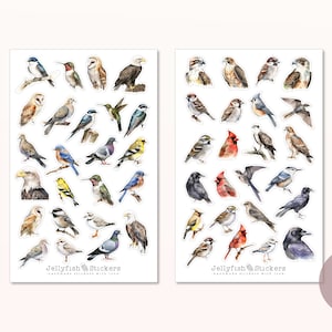 May include: Two sheets of stickers featuring watercolor illustrations of various bird species. The stickers are arranged in rows on a white background. The text "Jellyfish Stickers" appears at the bottom of each sheet.