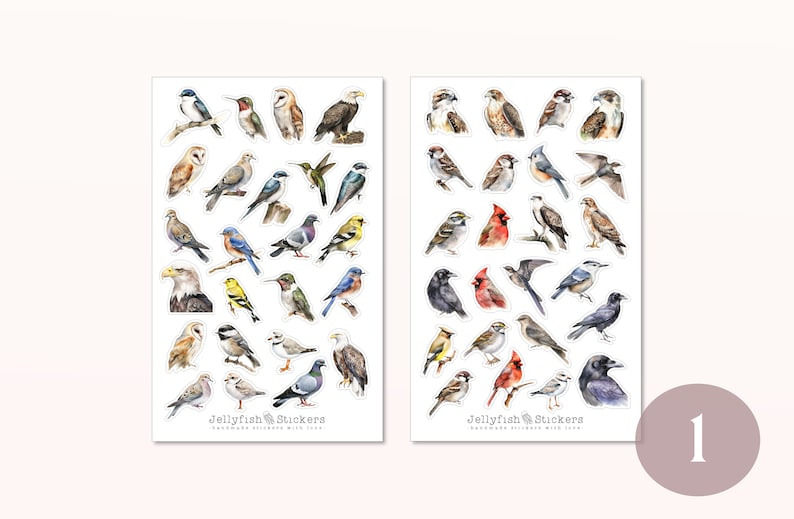 May include: Two sheets of stickers featuring watercolor illustrations of various bird species. The stickers are arranged in rows on a white background. The text "Jellyfish Stickers" appears at the bottom of each sheet.