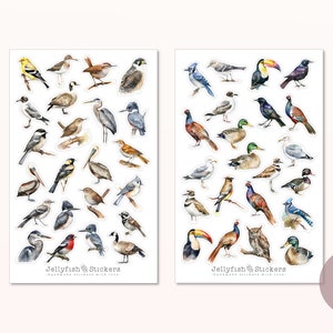May include: Two sheets of stickers featuring watercolor illustrations of various birds. The stickers are labeled "Jellyfish Stickers" and are handmade with love. The sheets are white with a light gray border.
