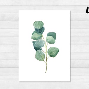 Eucalyptus ansichtkaartenset DIN A6 kaart, cadeau, foto, tuin, bloemen, print, wenskaart, schrijven, post, groen, tuin 4
