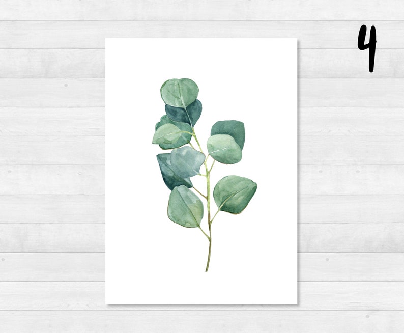 Eucalyptus ansichtkaartenset DIN A6 kaart, cadeau, foto, tuin, bloemen, print, wenskaart, schrijven, post, groen, tuin 4