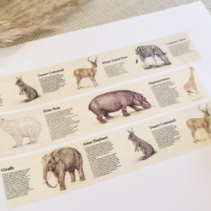 Encyklopedia taśmy Washi - zwierzęta, tekst, pisanie, królik, hipopotam, zebra, niedźwiedź polarny, słoń, scrapbooking, rękodzieło, taśma klejąca, materiał