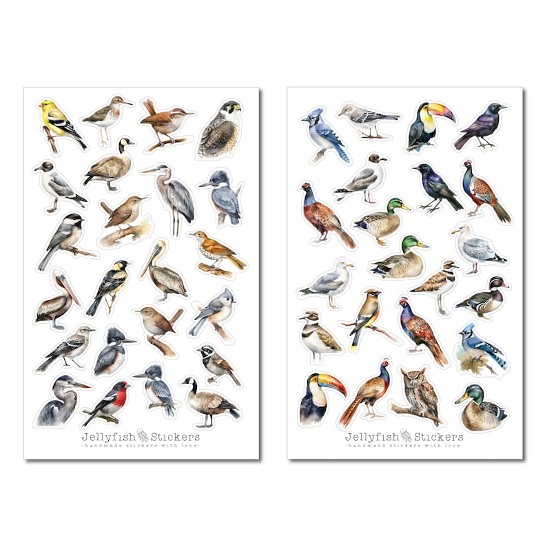 May include: Two sheets of colorful bird stickers. Each sheet has 24 different bird stickers with watercolor illustrations. The stickers are labeled "Jellyfish Stickers - Handmade stickers with love."