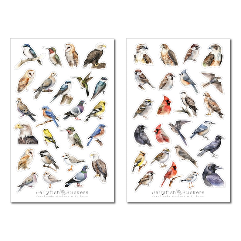 May include: A set of 36 colorful bird stickers. The stickers feature a variety of bird species, including cardinals, owls, hummingbirds, and robins. The stickers are perfect for adding a touch of nature to your journals, planners, laptops, or other belongings. "Jellyfish Stickers - Handmade stickers with love."