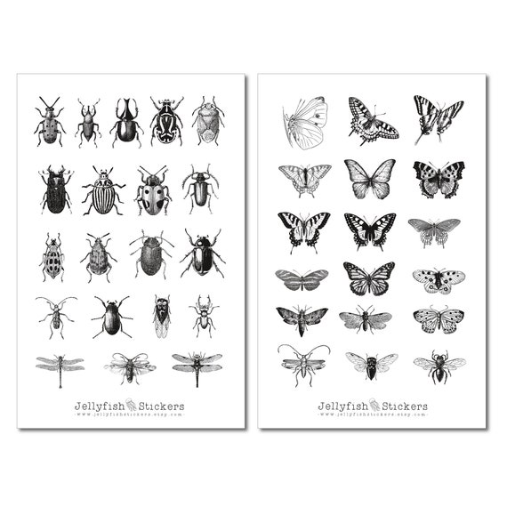 Vintage Insekten Sticker Set - Aufkleber schwarz-weiß, Journal Sticker,  Sticker Schmetterling, Sticker Natur, Sticker Sheet