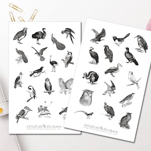 Vintage Vögel Sticker Set - Aufkleber Tiere Journal Sticker Sticker Natur Planer Sticker Sticker schwarz weiß sticker