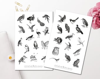 Vintage Birds Sticker Set - Animal Stickers, Journal Stickers, Nature Stickers, Planner Stickers, Black and White Stickers