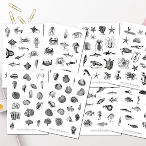 Vintage zeestickerset - sticker maritiem dagboek sticker sticker visplanner sticker stickervel